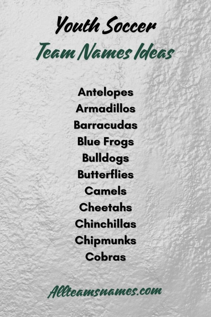 Youth Soccer Team Names