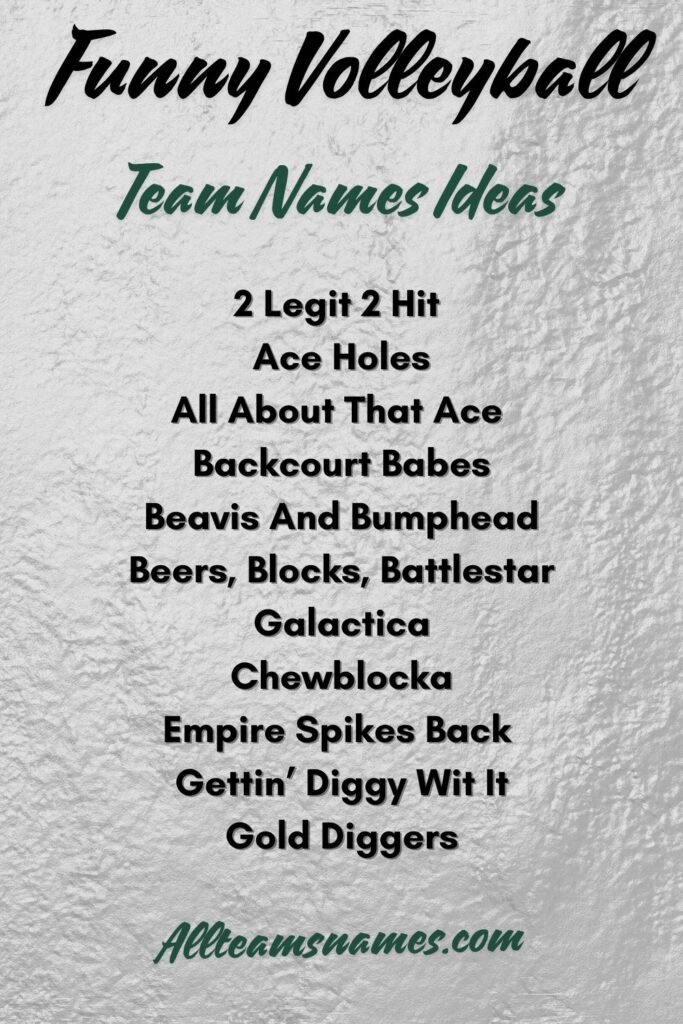 Funny Volleyball Team Names