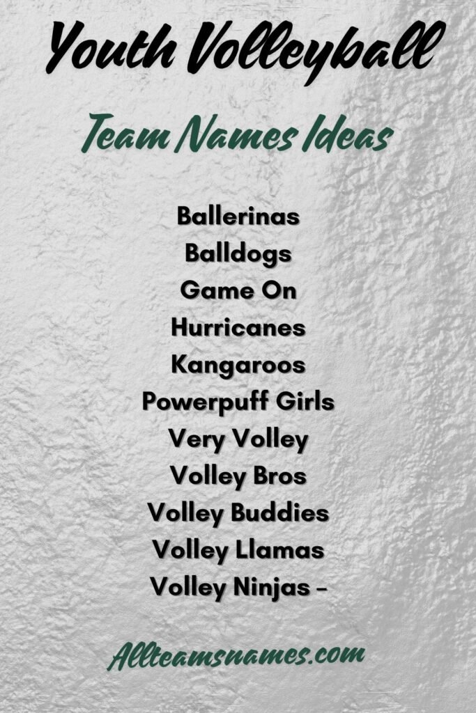 Youth Volleyball Team Names