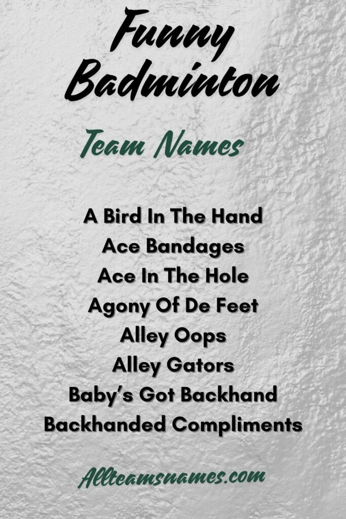 Funny Badminton Team Names