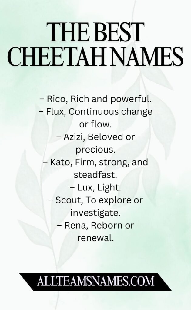 The Best Cheetah Names With Meanings