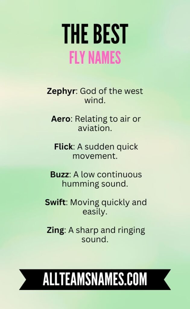 The Best Fly Names With Meanings