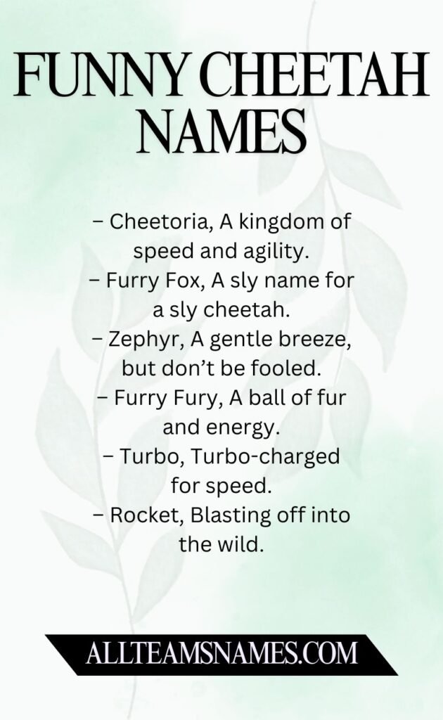 Funny Cheetah Names