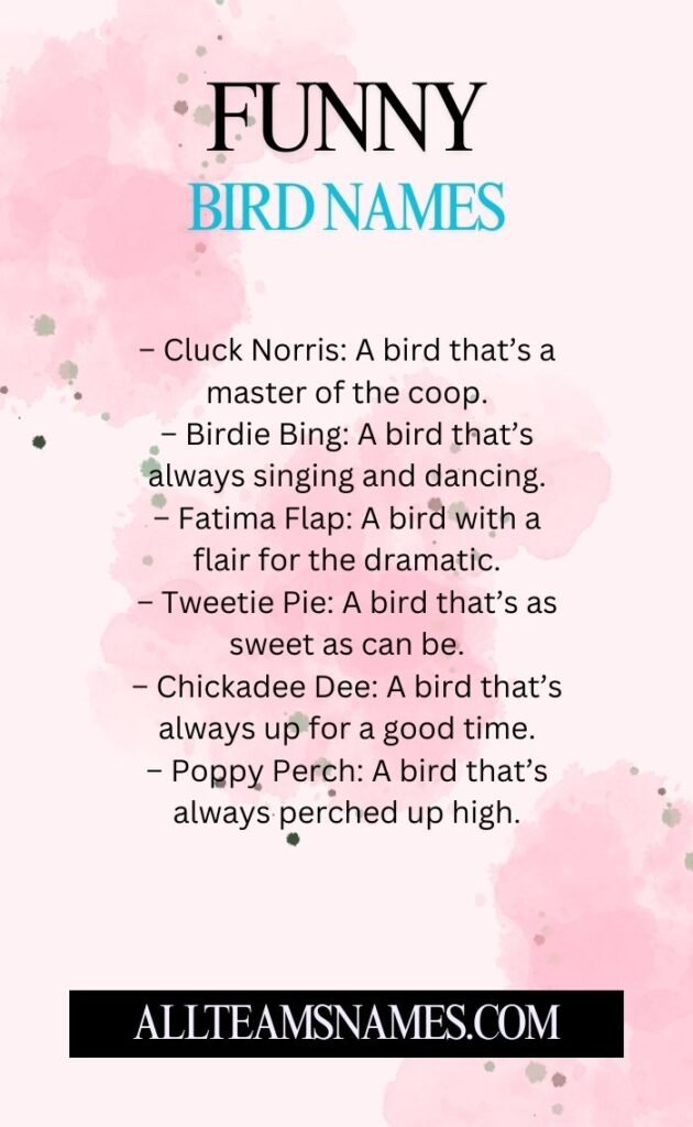 Funny Bird Names