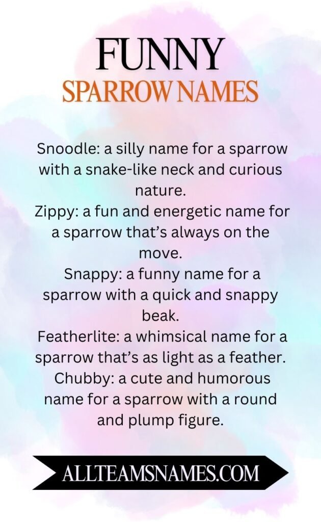 Funny Sparrow Names