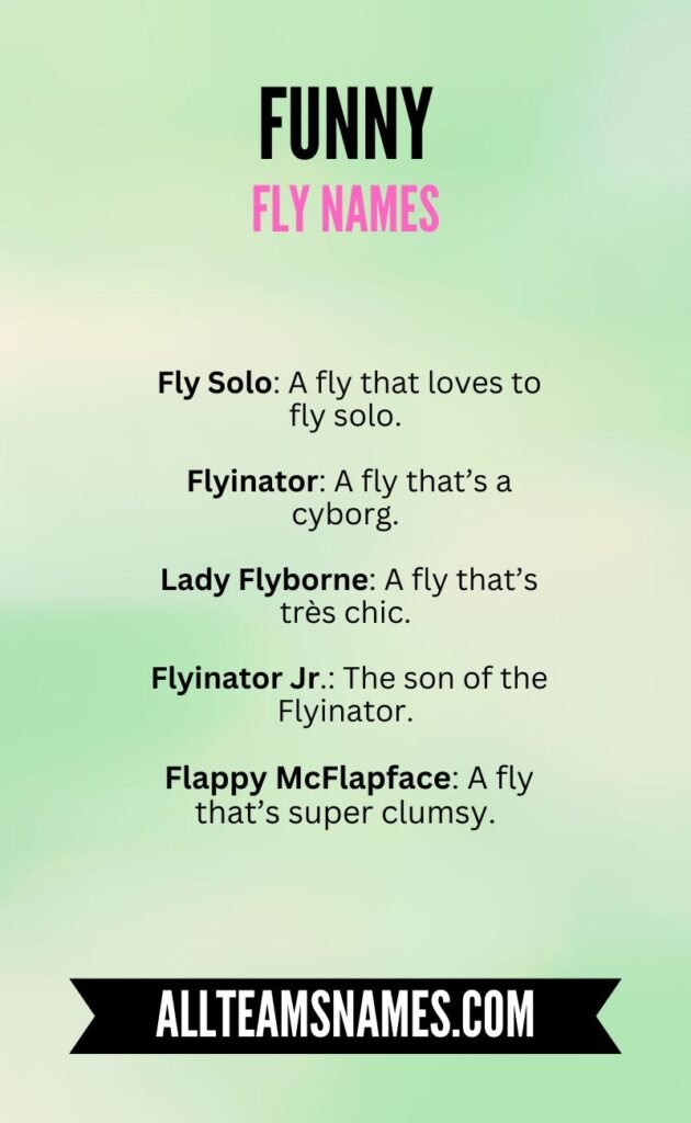 Funny Fly Names