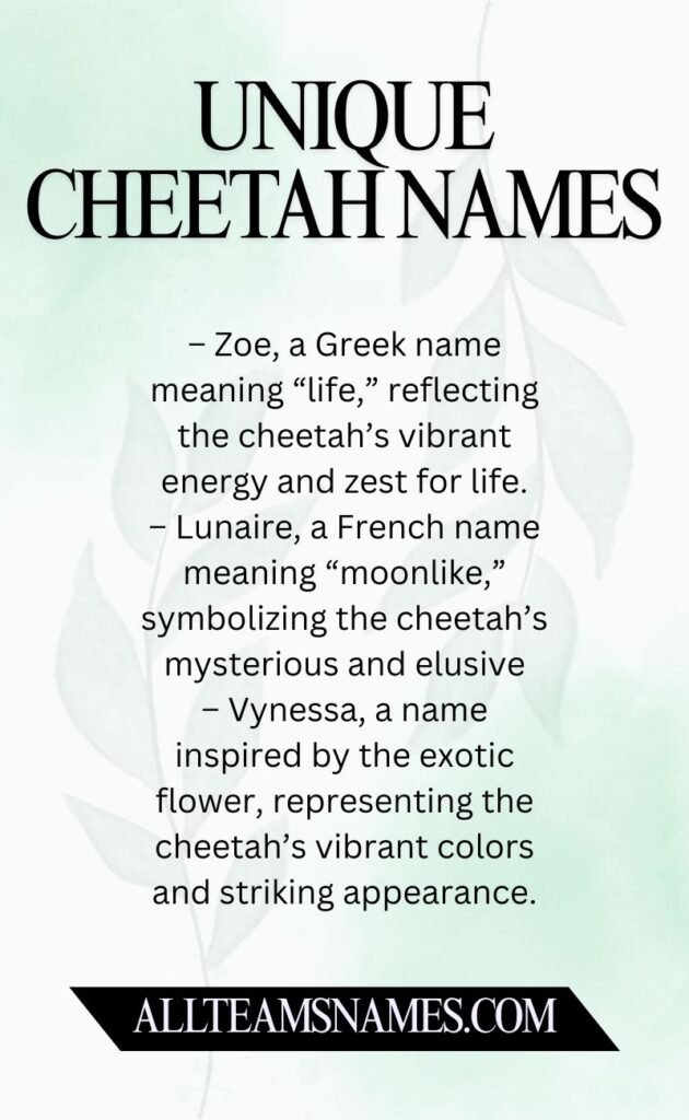 Unique Cheetah Names