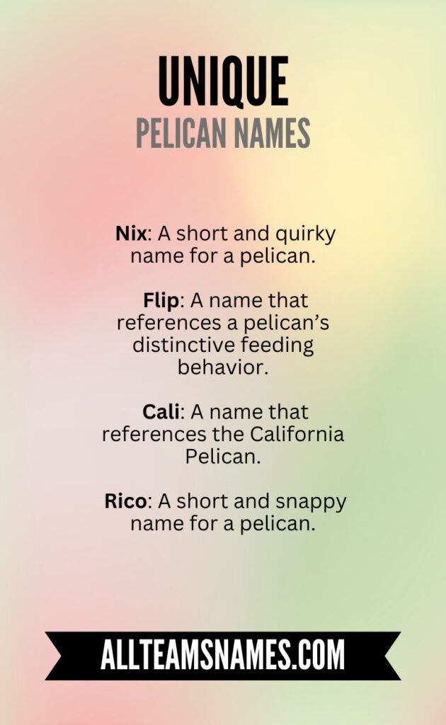 Funny Pelican Names