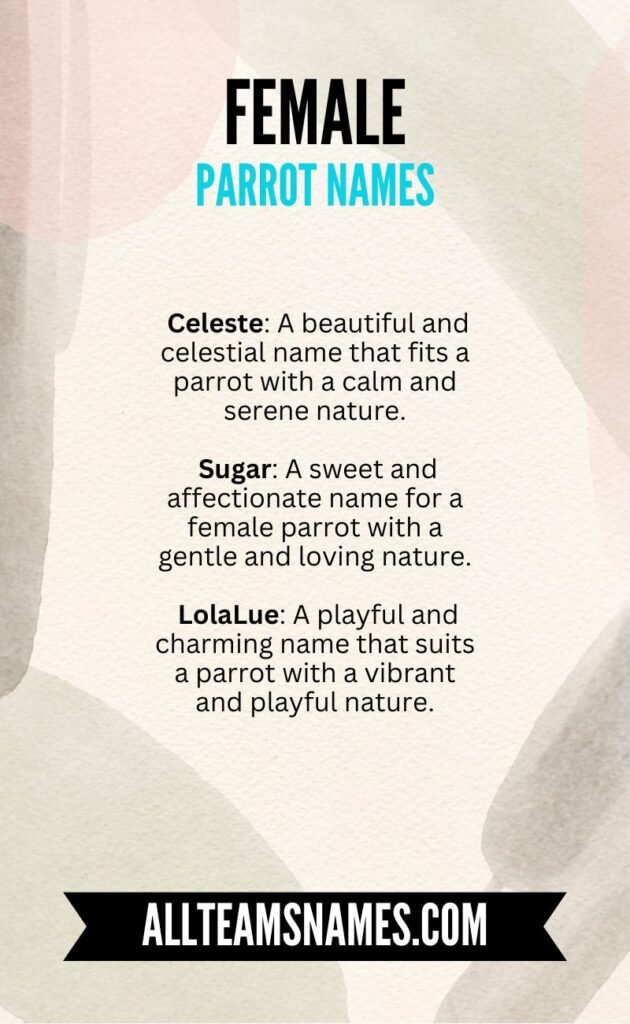 The Best Parrot Names With Meanings