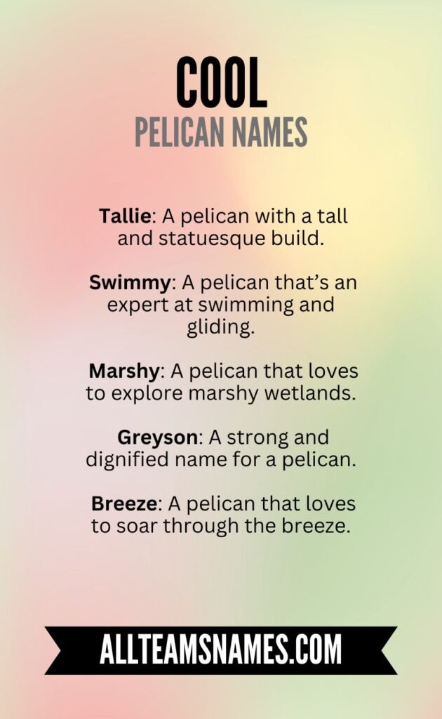 Funny Pelican Names