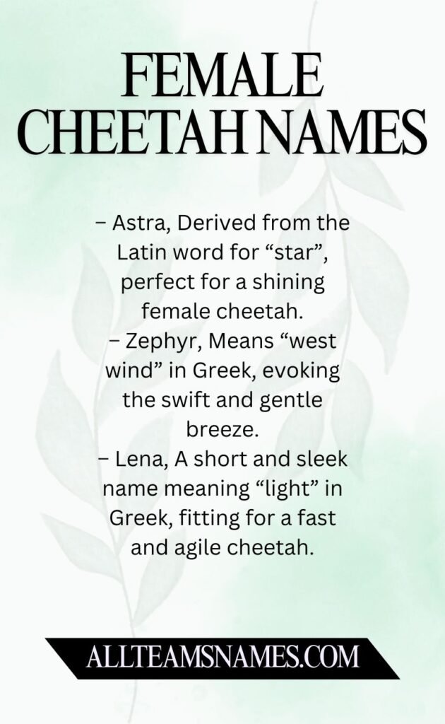 Female Cheetah Names