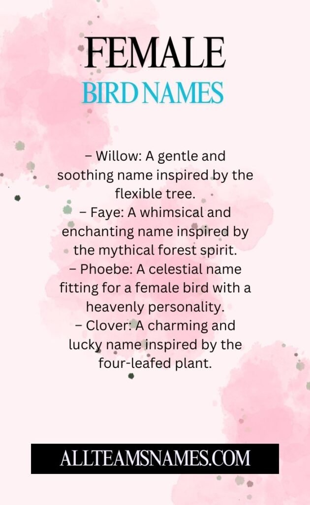 Female Bird Names