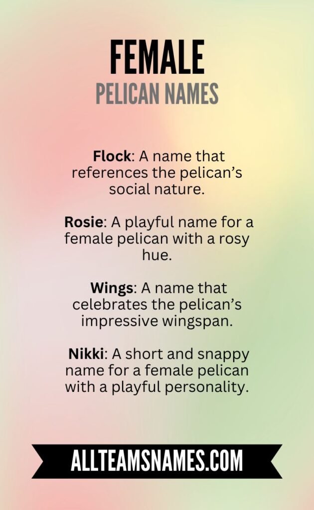 Funny Pelican Names