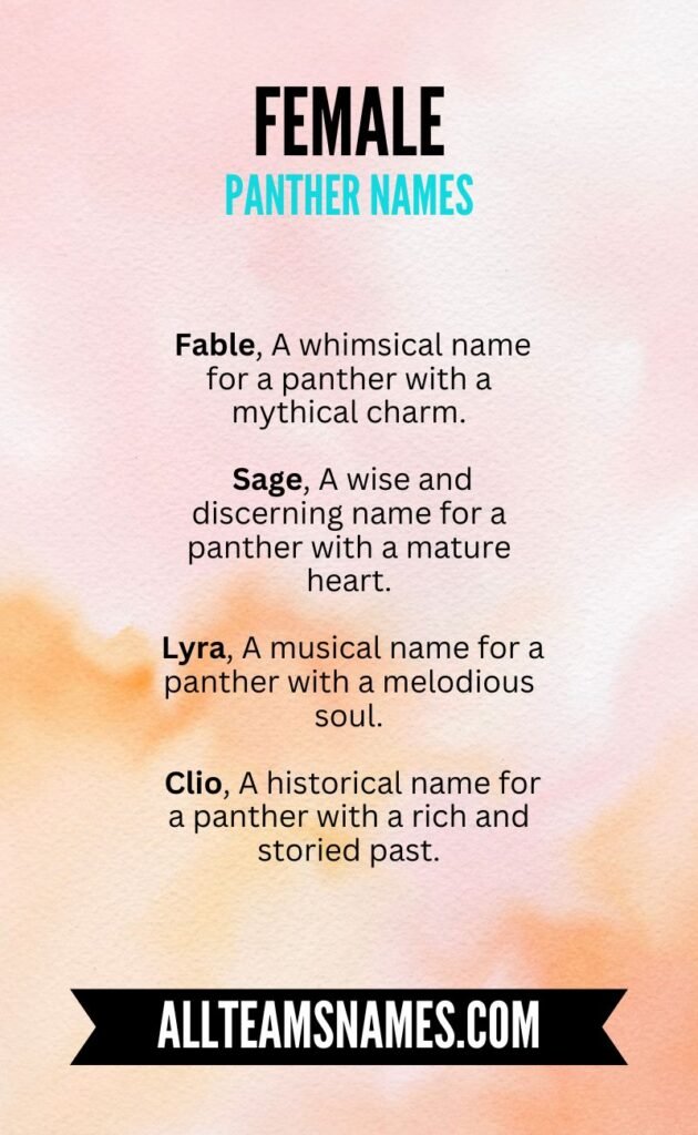 Female Panther Names