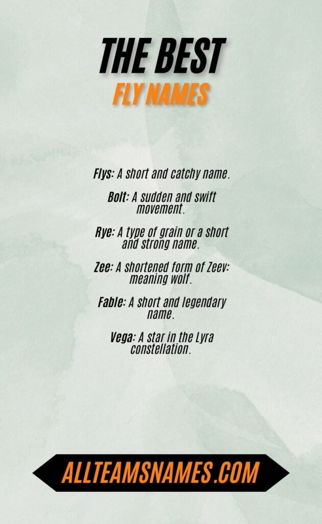 The Best Fly Names With Meanings