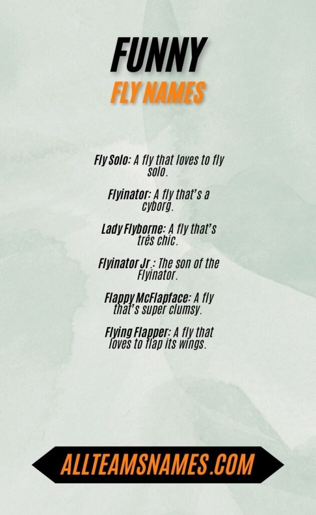 Funny Fly Names