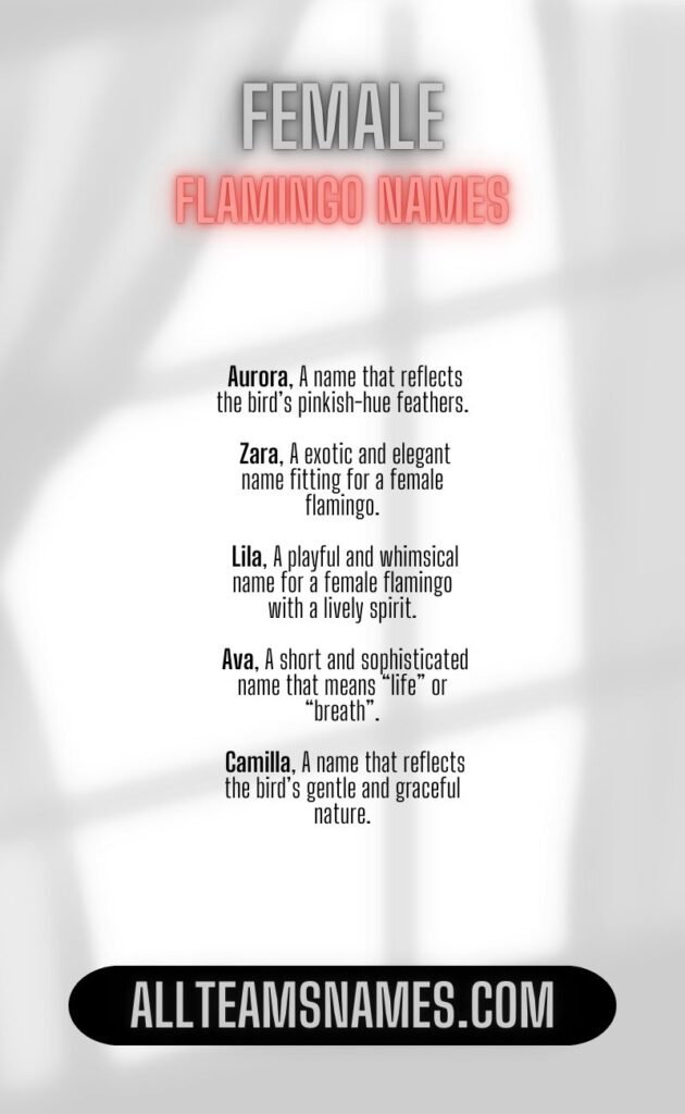 Female Flamingo Names