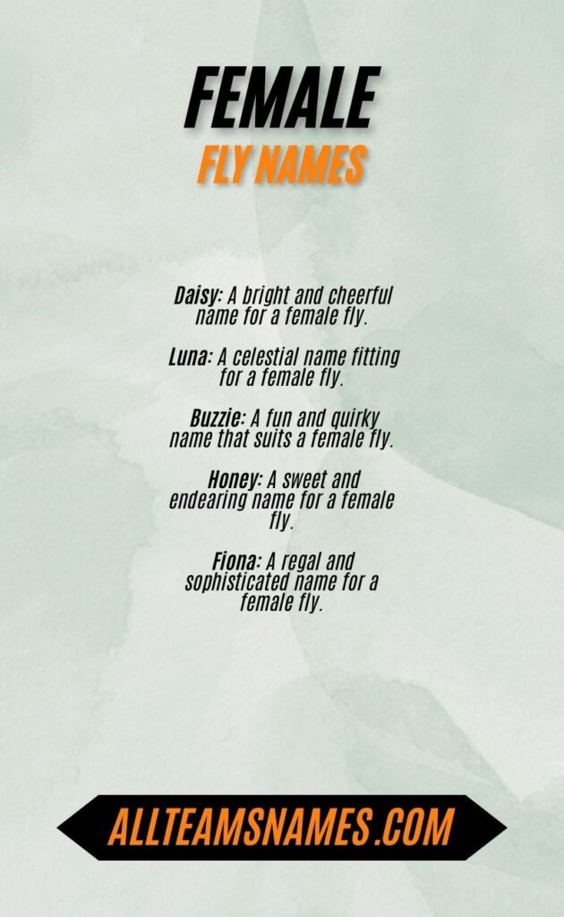 Female Fly Names