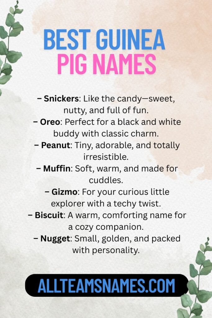 Best Guinea Pig Names