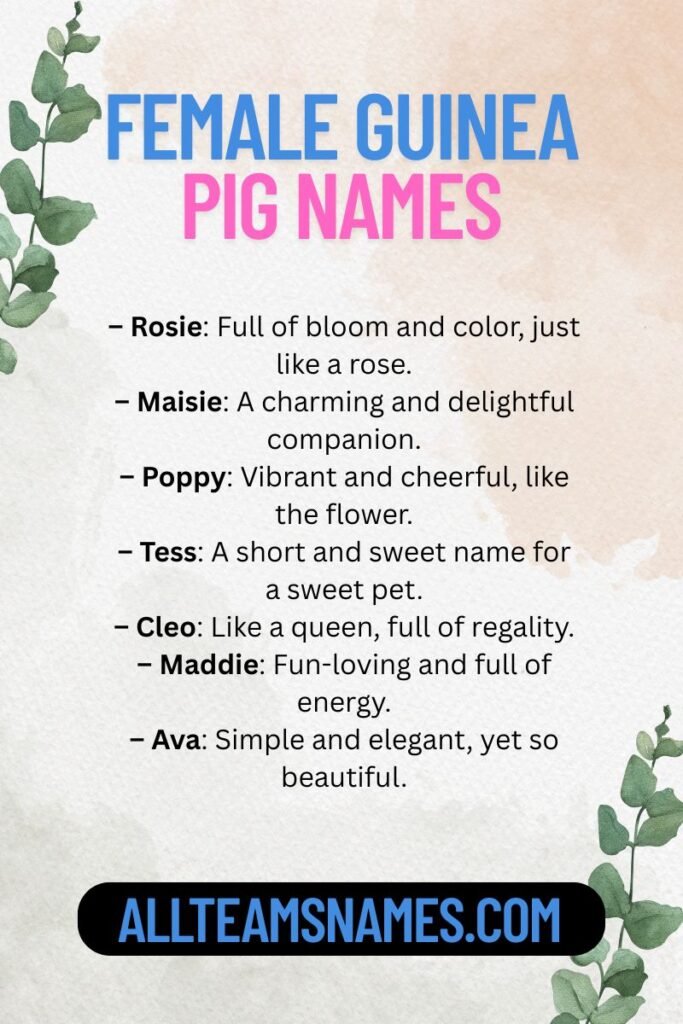 Female Guinea Pig Names