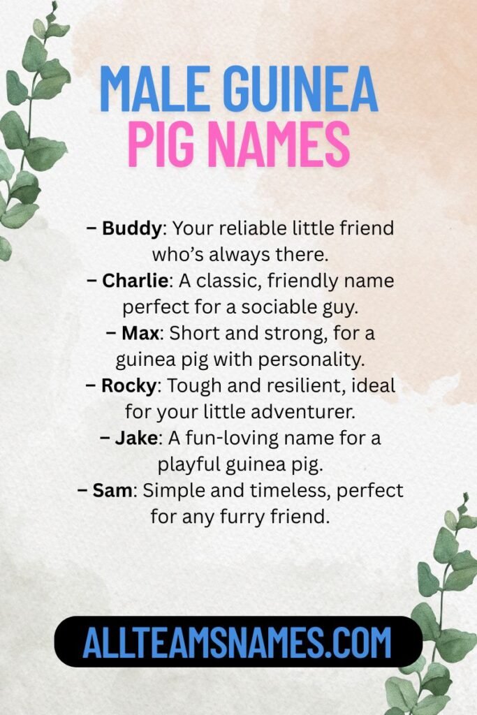 Male Guinea Pig Names