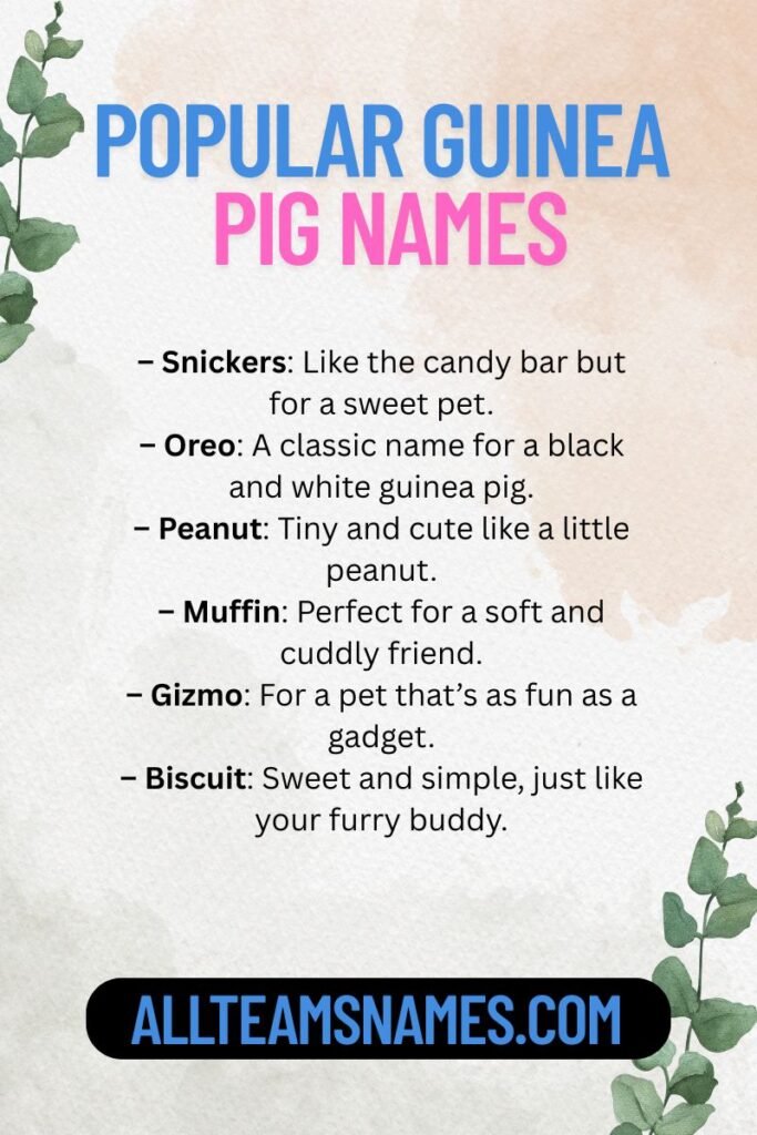 Popular Guinea Pig Names