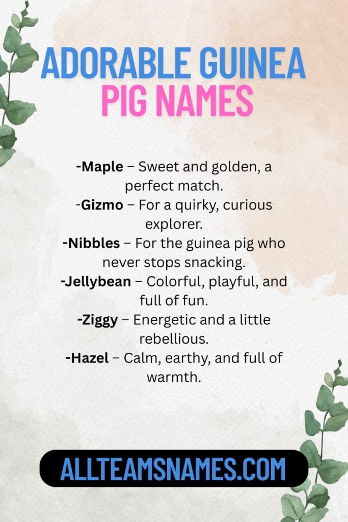 Adorable guinea pig names