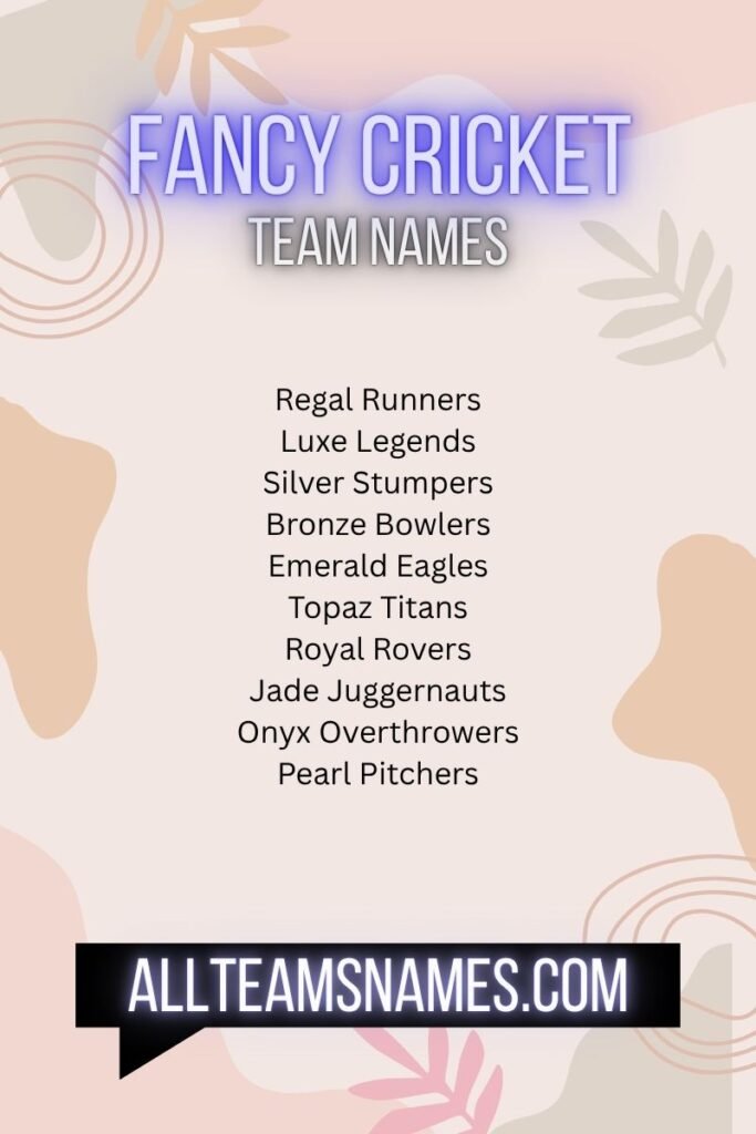 Fancy Cricket Team Names