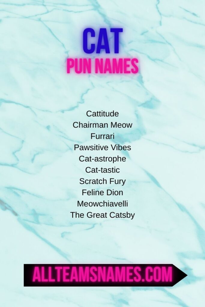 Punny Names for Animals