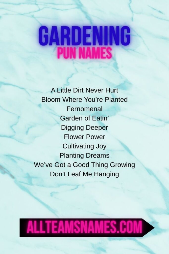 Punny Names by Hobbies