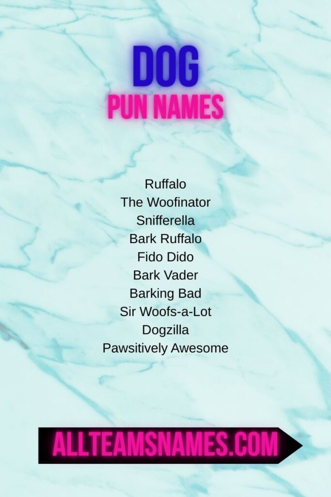 Punny Names for Animals