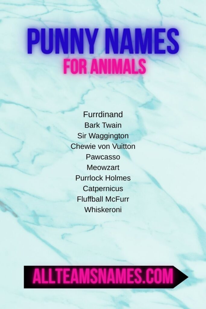 Punny Names for Animals