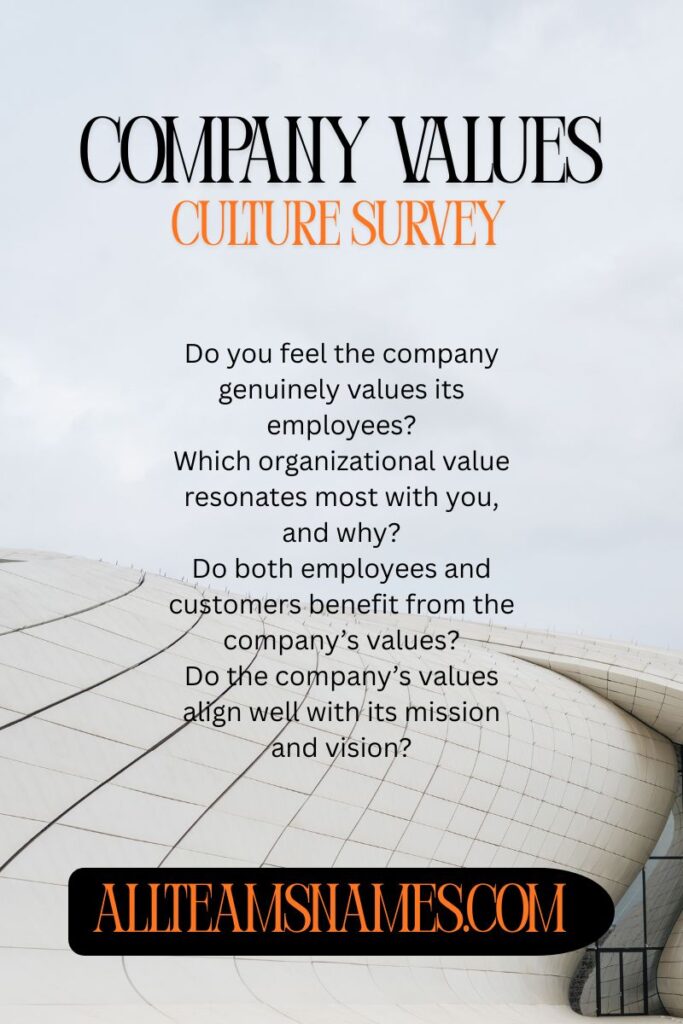 Company Values & Culture Survey
